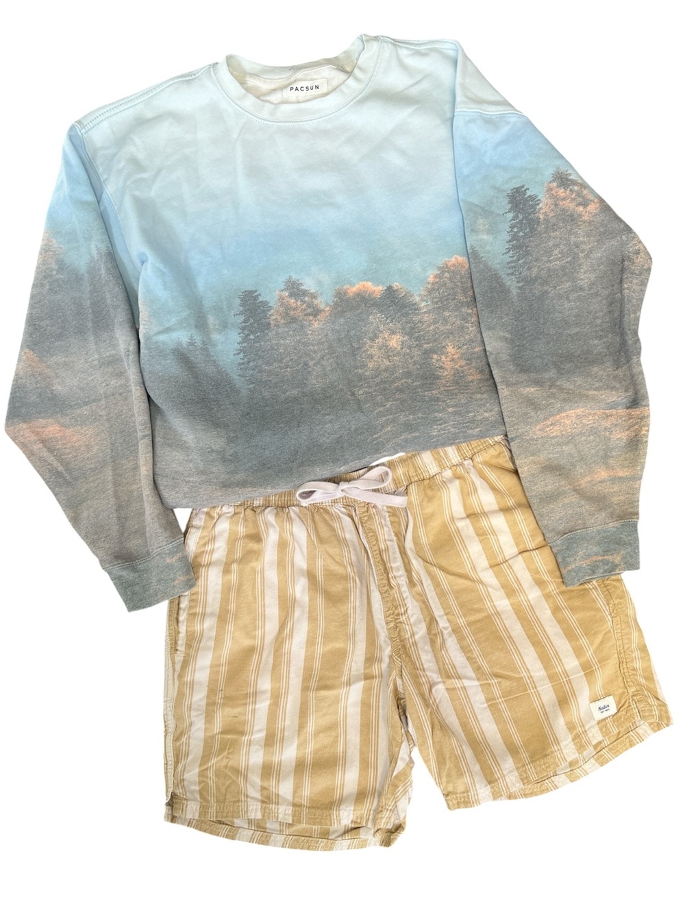 PacSun Blue Gradient Forest Sweatshirt Size L